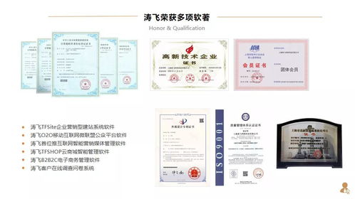 上市集团公司构建全球化数字培训体系的路径与实践——基于互联网技术服务的视角